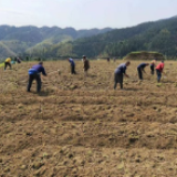 双牌何家洞镇：因地因户施策 精准整治稻田抛荒