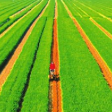湖南省农业农村厅来蓝山调研指导粮食生产和耕地安全利用工作