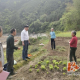 双牌塘底乡：脱贫攻坚、疫情防控和春耕生产“三管齐下”