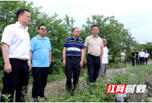 省烟草专卖局到江华查勘烤烟受灾情况