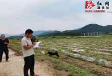 道县：累计抚育管护新造幼林9万余亩