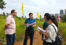 道县：李天明实地调研城区拟出让土地相关工作