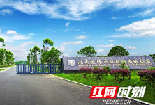 永州创建农高区丨湖南恒伟药业：自主研发 搭建中成药产品矩阵