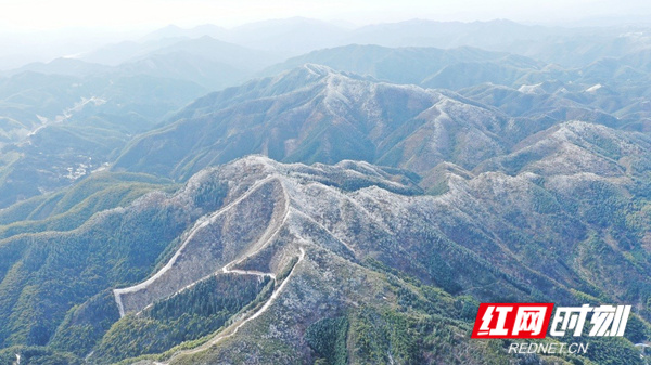 1月8日早上，湖南省新田县北部高海拔山区普降小雪，公路、房屋都覆盖了一层白白的雪花，与山上的绿树一起勾勒出一幅美妙的冬景图。（蒋军君）