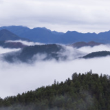 蓝山：春雨过后 美若仙境