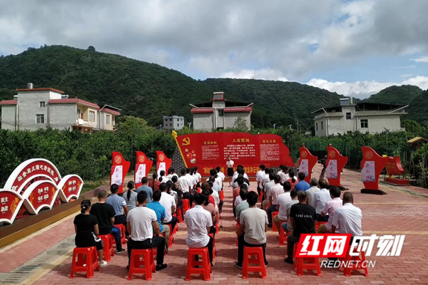 “三新”理论微宣讲走进回龙圩。.jpg