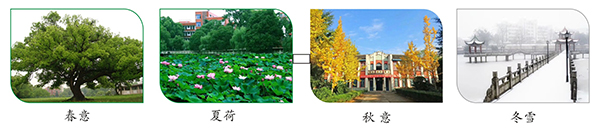 图片10.jpg