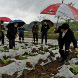 蓝山：省市专家发挥科技优势指导农业生产