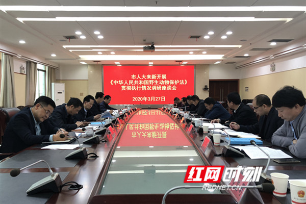 图片8_副本.jpg