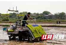 祁阳：田间玩转高科技 农户种田更轻松