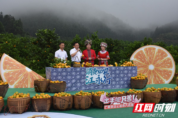 在夏层铺镇九牛冲村夏橙直播基地，县委书记周立夫变身“带货主播“，通过湖南卫视快乐购电视频道、芒果扶贫云超市、拼多多等各大直播平台，直播带货江永夏橙。