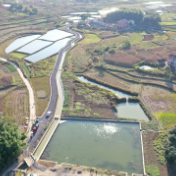 冷水滩：抢抓高标准农田建设 打好春耕基础