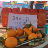永州正能量丨道县这家“君子”水果摊 无人值守见证诚信