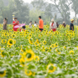 湖南道县：田园赏花享假期（图）