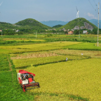 道县召开巩固拓展脱贫攻坚成果实地核查业务培训会