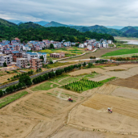 湖南新田：寒露至 农事忙（组图）