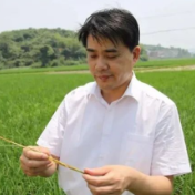 祁阳人！湖南农业大学博士生导师柏连阳教授当选中国工程院院士