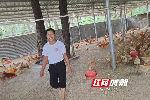 5林下养殖_副本.jpg 5林下养殖_副本.jpg