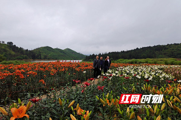 卫健委1.jpg 卫健委1.jpg