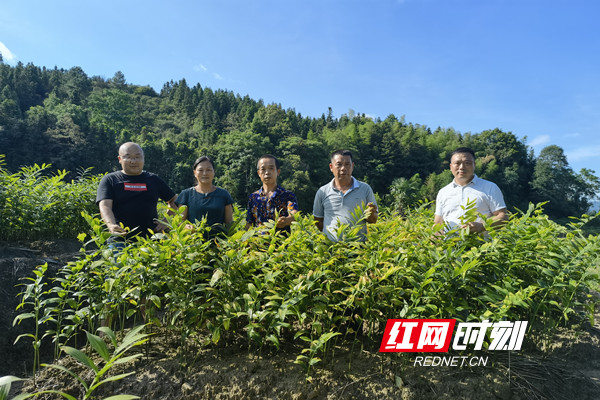 卫健委2.jpg 卫健委2.jpg