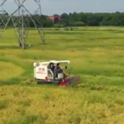 永州：粮食生产喜获丰收 全年粮食总产量突破三百万吨
