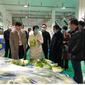 永州市副市长李旦梅深入宁远县调研侨资企业投资 帮助侨企解决困难