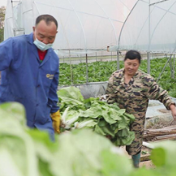 乡村振兴丨宁远永兴村：人勤田里忙 蔬菜卖得俏