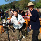 零陵：山区红薯丰收 现场直播带货