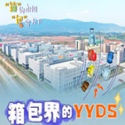长图揭秘丨箱包界的YYDS——永州蓝山又在干啥大事？
