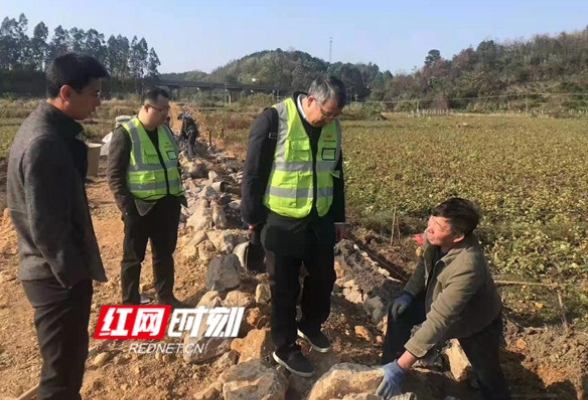 永州丨高标准农田建设质量 保险来护航