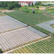 永州：以更有力举措全面推进乡村振兴 加快农业农村现代化