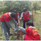 永州一中：学习雷锋好榜样 义务植树添新绿