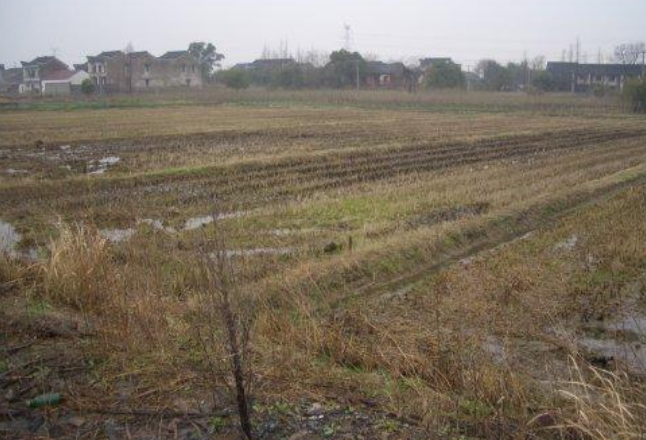 永州市出台发展粮食生产制止耕地抛荒十条措施