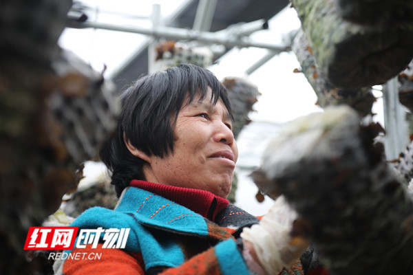 3月8日，是“三八”国际妇女节，眼下也是春耕备耕的农忙时节，在湖南省新田县春耕生产的各个现场活跃着广大妇女勤劳的身影，向她们致敬。