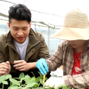 冷水滩：“漂浮育苗”助力5000亩蔬菜提质增产