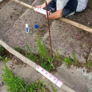 防溺水有实招 宁远县东溪街道“小竹竿”发挥“大作用”