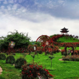 文化永州丨蒋建辉：花千谷絮语