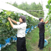 稳就业 强基础 富家乡丨宁远：“返乡能人”增添乡村振兴新动能