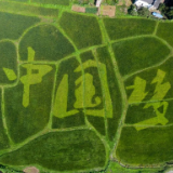 喜迎党代会丨一组数据喜看零陵农业农村这五年