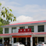 祁阳黎家坪镇油塘村：种桑养蚕 绿了村庄 富了村民