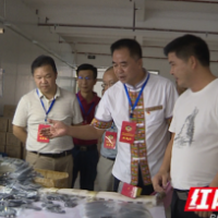 江华政协开展“重点项目建设——小城镇建设与乡村振兴”专项视察