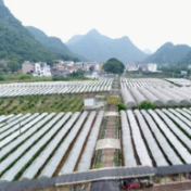 宁远：“三变”改革强动力 乡村振兴有保障