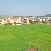 道县：美丽乡村芒头寨