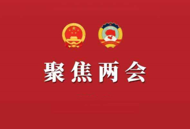 永州两会丨各代表团继续审议政府工作报告和计划、预算报告