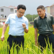 红星云丨永州市零陵区委书记赵立平：干在实处 走在前列 奋力走好新时代赶考之路