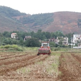 宁远：多措并举抗旱情 全力推进油菜秋冬种