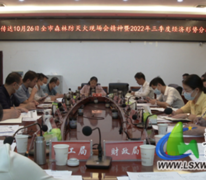 蓝山县召开传达全市森林防灭火现场会精神暨2022年三季度经济形势分析会