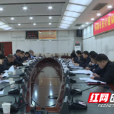 祁阳市召开医疗健康集团管理委员会工作调度会