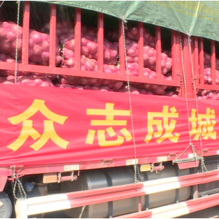 祁阳农户捐赠4万斤蔬菜 给零陵“大白”加个菜