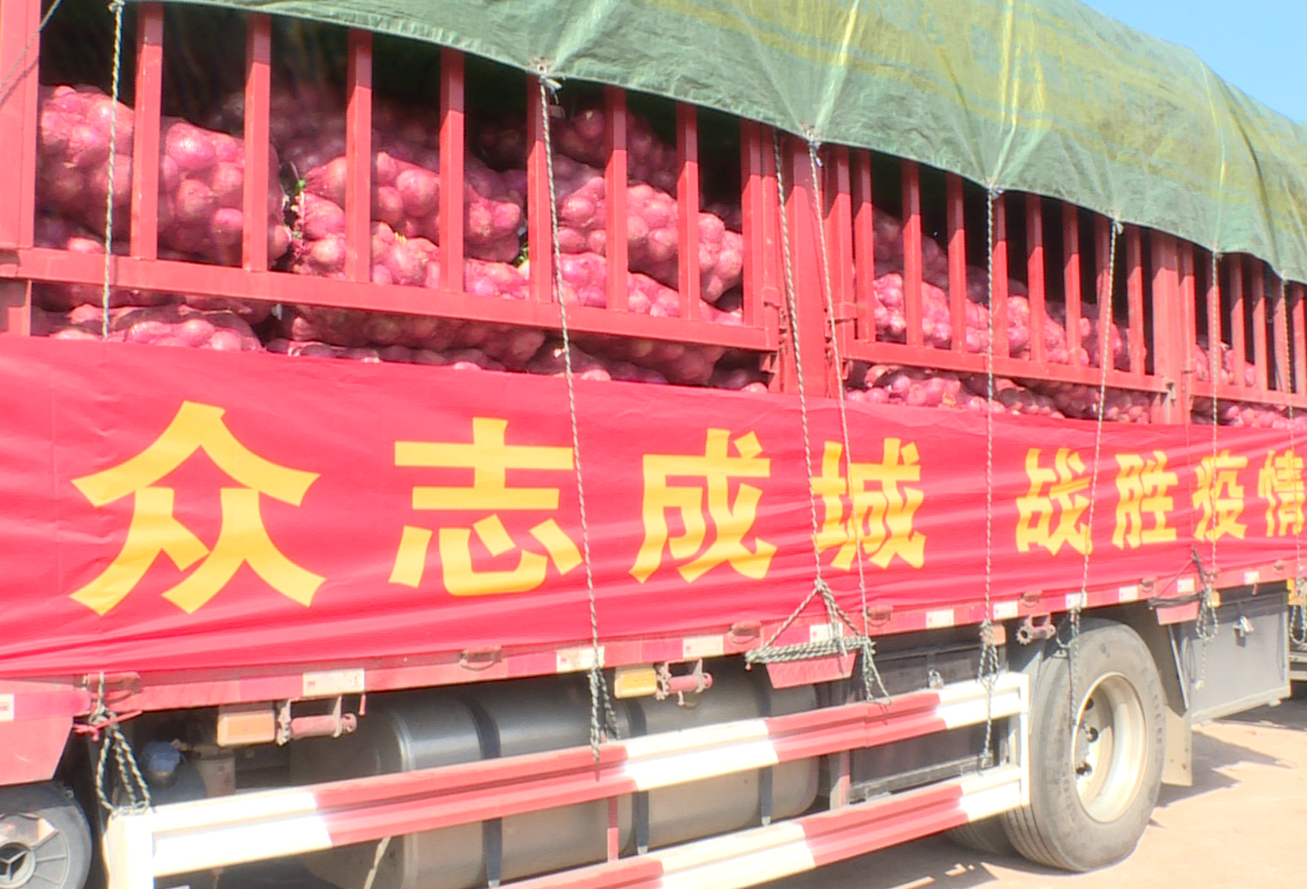 祁阳农户捐赠4万斤蔬菜 给零陵“大白”加个菜